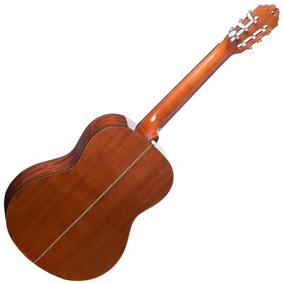 Гитара классическая Washburn C40, изображение 2