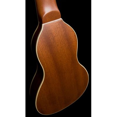 Гитара акустическая Washburn RO10SK, изображение 3