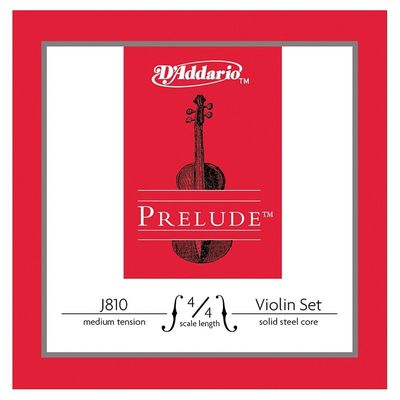 Струны для скрипки D'Addario J810 4/4M