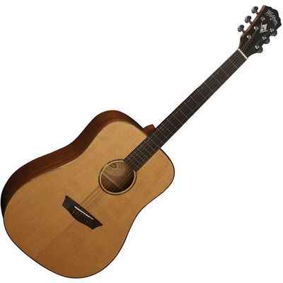 Гитара акустическая Washburn WD160SW