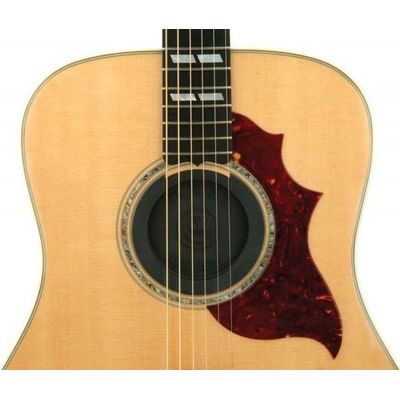 Заглушка резонаторного отверстия Planet Waves PW-SH-01, изображение 4