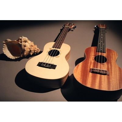Укулеле Flight DUC 325 CEQ SP/ZEB, изображение 11