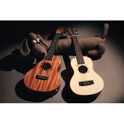 Укулеле Flight DUC 325 CEQ SP/ZEB, изображение 12