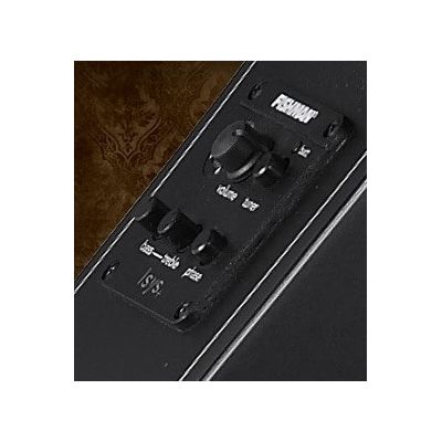 Гитара электроакустическая Cort EVL-A6 BKS, изображение 5