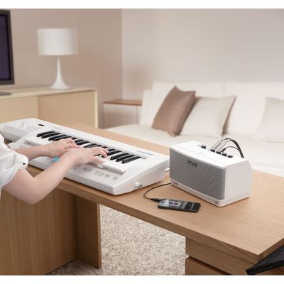 Комбоусилитель Roland Cube Lite Monitor, изображение 5