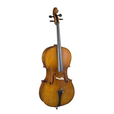 Виолончель Karl Heinlich THC-30L 3/4