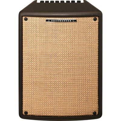 Комбоусилитель Ibanez T80II Troubadour