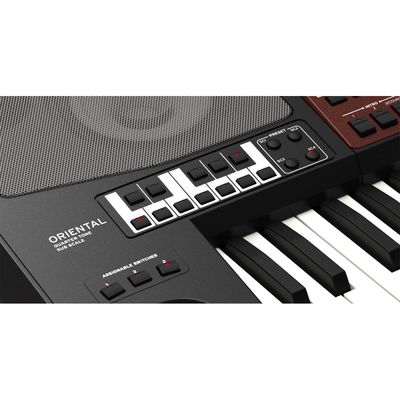 Музыкальная рабочая станция Korg Pa700-OR, изображение 3