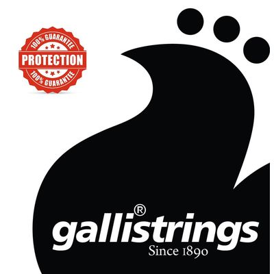 Струны для скрипки Galli OV40, изображение 2