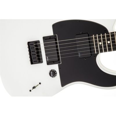 Электрогитара Fender Jim Root Telecaster Flat White EB, изображение 3