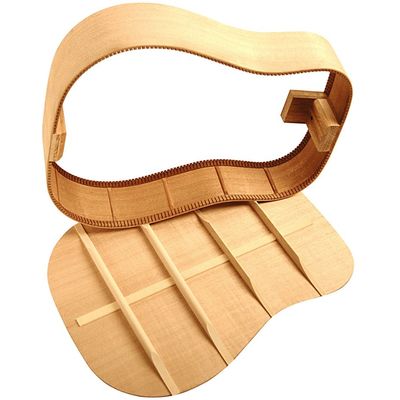 Гитара акустическая Parkwood P620, изображение 5