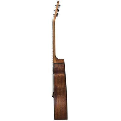 Гитара электроакустическая Baton Rouge AR11C/ACE, изображение 4