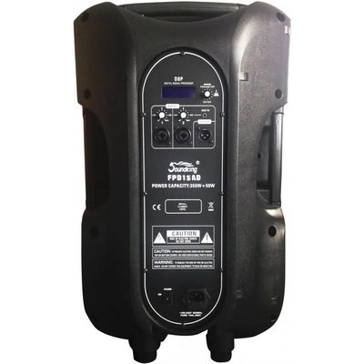 Активная акустическая система Soundking FPD15AD, изображение 2