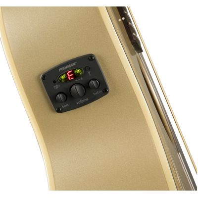 Гитара электроакустическая Fender Newporter Player WN Champagne, изображение 7