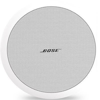 Пассивная акустическая система Bose FreeSpace DS 100F (White)