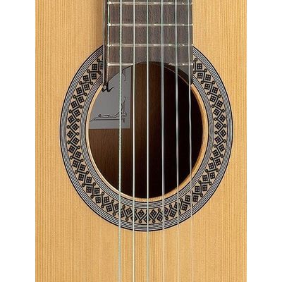 Гитара классическая Alhambra 2C A, изображение 5