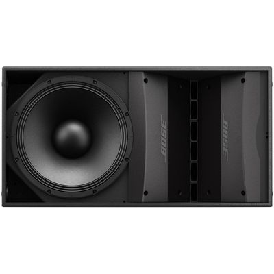 Пассивная акустическая система Bose ArenaMatch AM10/60, изображение 2