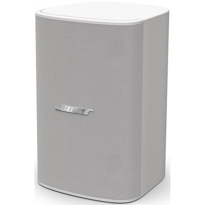 Пассивная акустическая система Bose DesignMax DM6SE (White)