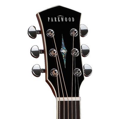 Гитара акустическая Parkwood P610, изображение 4