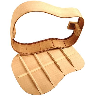 Гитара акустическая Parkwood P610, изображение 5