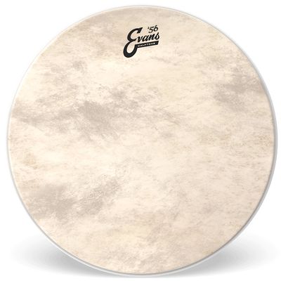 Пластик Evans BD20cT, изображение 3