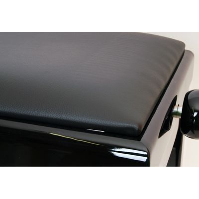 Банкетка Rin HY-PJ018A-Gloss-Black, изображение 3