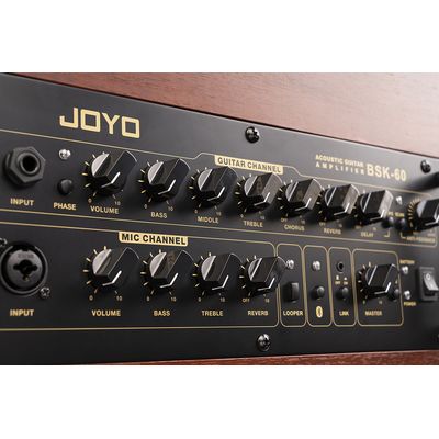Комбоусилитель Joyo BSK-60, изображение 3
