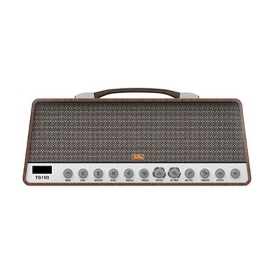 Комбоусилитель Soundking TG10