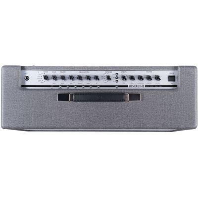 Комбоусилитель Blackstar Silverline Stereo Deluxe, изображение 4