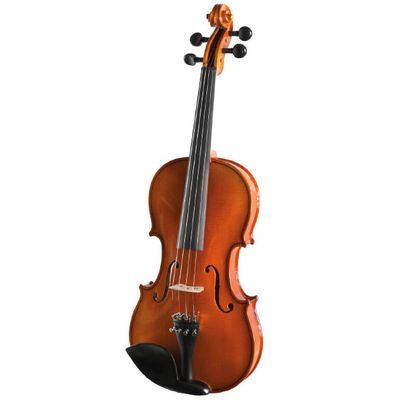 Скрипка Strunal Ravena 920A 1/2, изображение 3