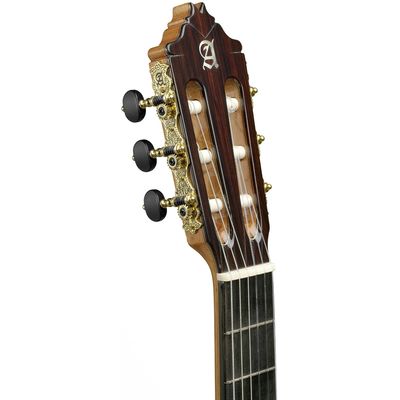 Гитара классичеcкая Alhambra 9P A, изображение 3