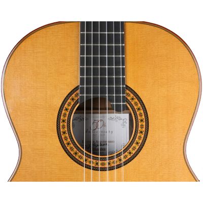 Гитара классичеcкая Alhambra Luthier Ziricote 50 Aniversario, изображение 4