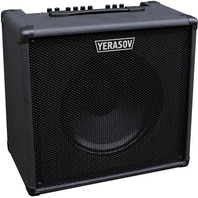 Комбоусилитель Yerasov Repetitor R1-50W, изображение 2