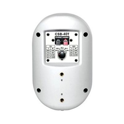 Настенная акустическая система Show CSB-40T/WH, изображение 2