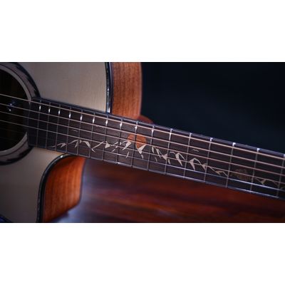 Гитара электроакустическая Crafter SR G-MAHOce, изображение 3