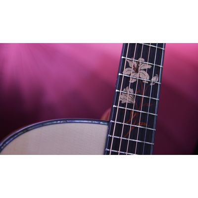 Гитара электроакустическая Crafter WF G-MAHOce, изображение 2