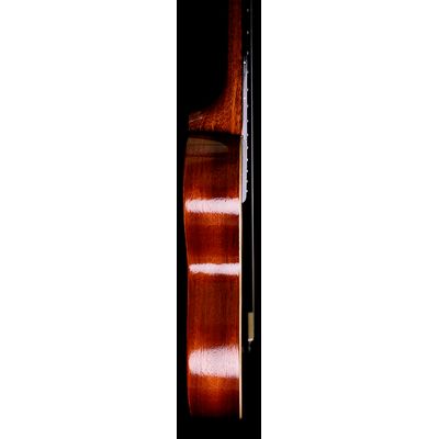 Укулеле Rebel Cheesecake CL, изображение 3