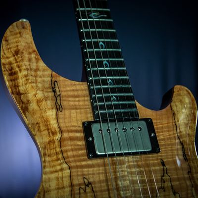 Электрогитара Dean USA Hardtail SPM Exotic Spalted, изображение 5