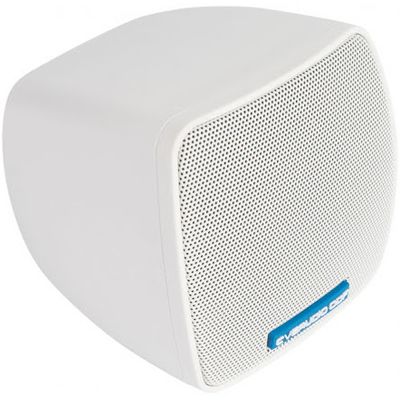 Пассивная акустическая система CVGaudio ODF3TW