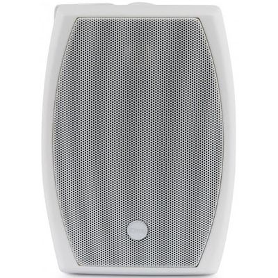 Пассивная акустическая система CVGaudio ODF508TW