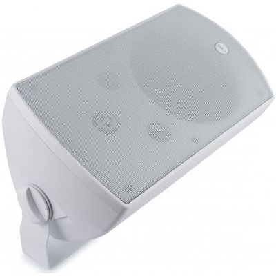 Пассивная акустическая система CVGaudio RF416TW