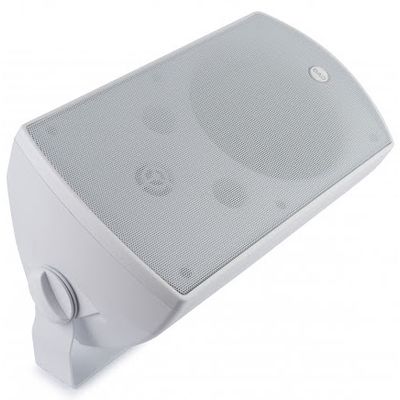 Пассивная акустическая система CVGaudio RF516TW