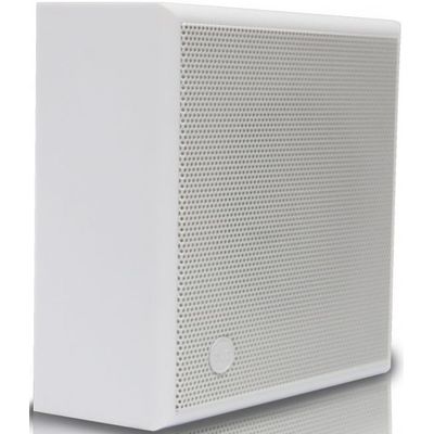 Пассивная акустическая система CVGaudio WPS6T