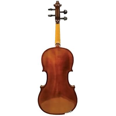 Скрипка Strunal Siena 160A 1/2, изображение 3