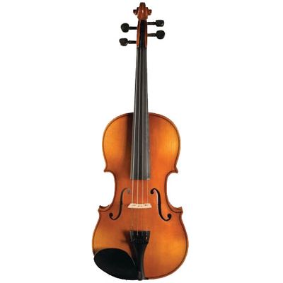 Скрипка Strunal Verona 150A 1/2