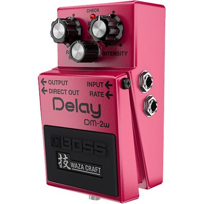 Педаль эффектов Boss DM-2W Waza Craft Delay, изображение 3