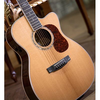 Гитара электроакустическая Cort Gold-OC8 NAT, изображение 4