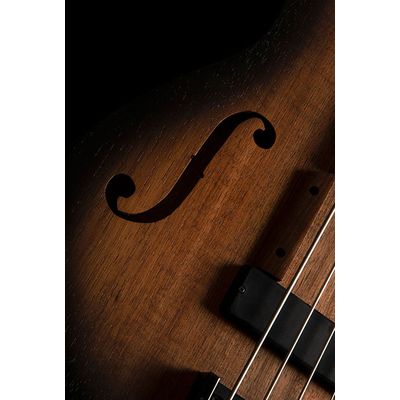 Бас-гитара Cort Artisan B4FL MHPZ OPTA, изображение 4