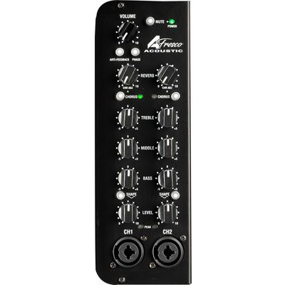 Комбоусилитель Laney A-Fresco-2, изображение 4