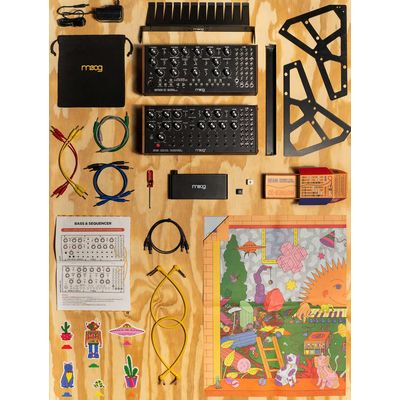 Набор аналоговых синтезаторов Moog Sound Studio Mother-32 & DFAM, изображение 7